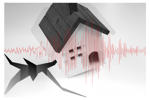 エアガイツ・レイズ